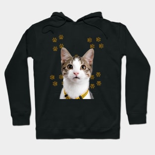 THE CAT LOVE Hoodie